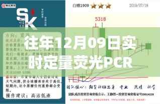 往年12月09日荧光PCR实验前准备,跨越时空的魔法探索之旅