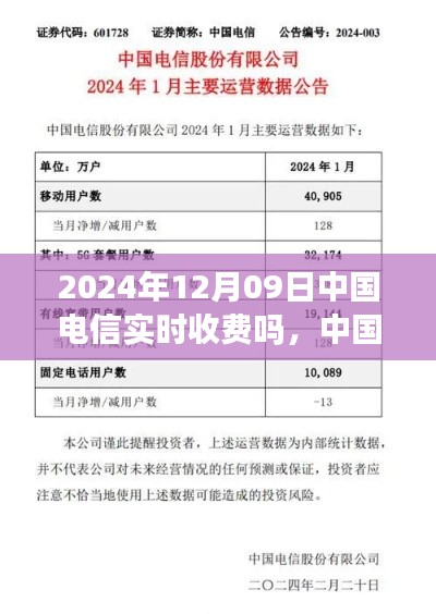 中国电信实时收费解析，观点论述与探讨（附日期，2024年12月09日）
