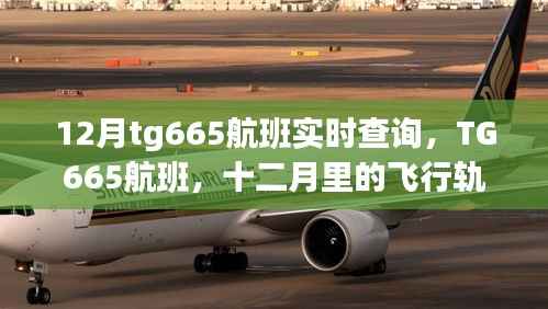 TG665航班12月实时查询,飞行轨迹与时代印记的交织