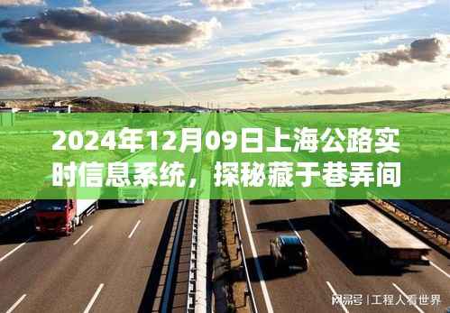 探秘上海公路实时信息系统中的巷弄风味,一家特色小店的独特魅力之旅