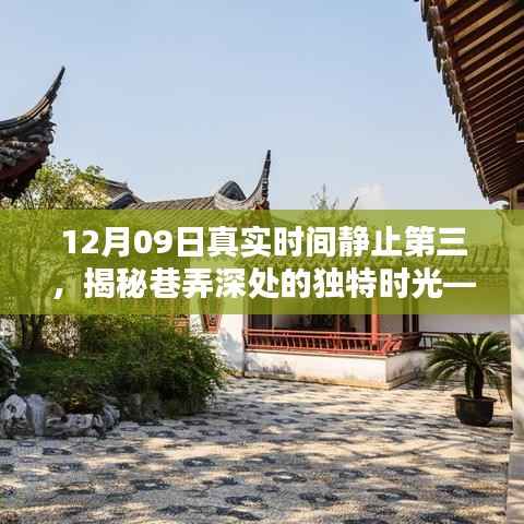 岁月静好中的独特时光,巷弄深处的特色小店揭秘