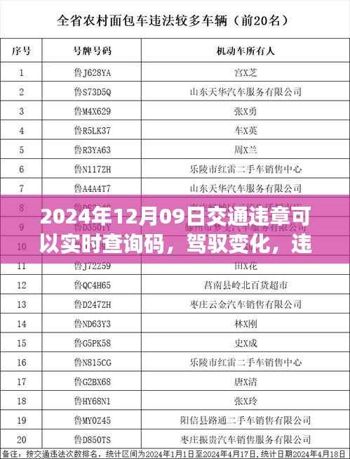 驾驭变化,实时交通违章查询码助力轻松出行