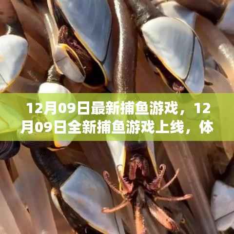 12月09日全新捕鱼游戏上线，深海猎奇体验