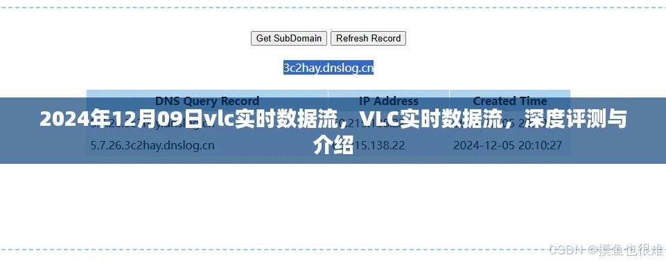 VLC实时数据流深度评测与介绍，2024年12月09日实时数据流解析