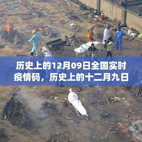 历史上的十二月九日,全国实时疫情码的演变与回顾