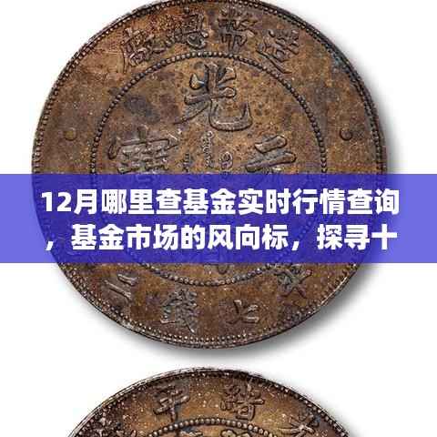 十二月基金实时行情查询全解析，风向标与市场影响深度探寻