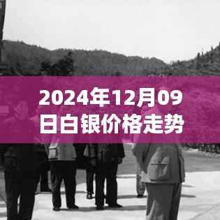 深度解析,白银价格走势实时图——2024年白银市场趋势预测报告(白银价格走势实时图)