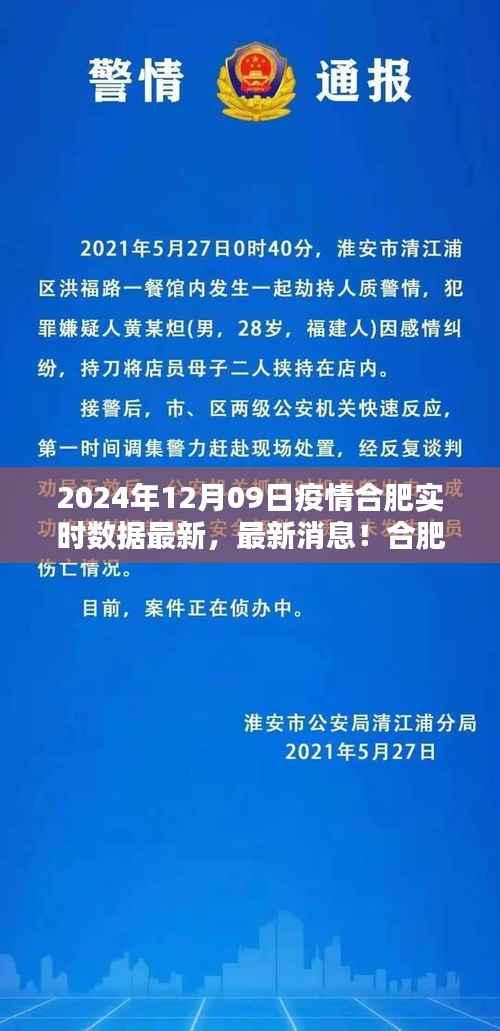 合肥疫情实时数据报告(最新更新至2024年12月09日),共同守护美好家园