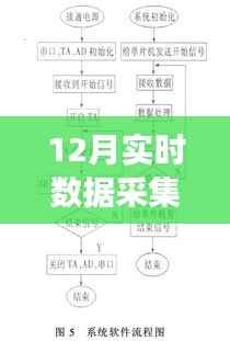 删华就素 第4页