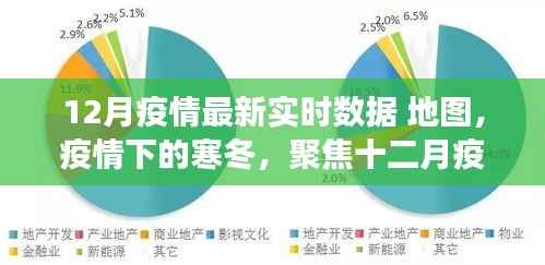 聚焦十二月疫情实时数据与地图洞察,寒冬之下的疫情最新动态