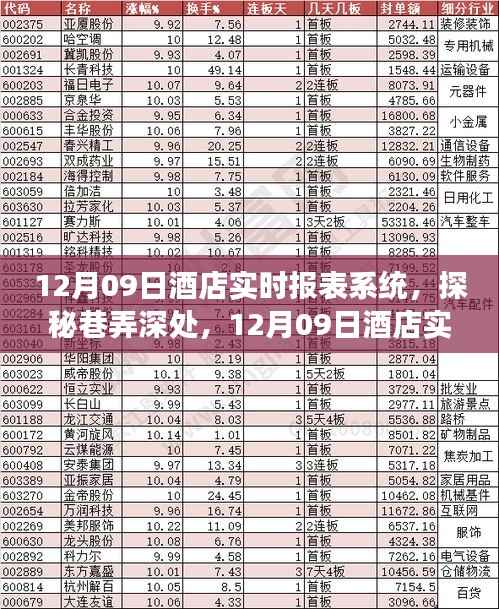 探秘巷弄深处的酒店实时报表系统，揭秘背后的独特故事（12月09日）