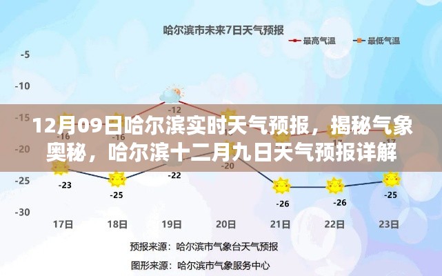 哈尔滨十二月九日实时天气预报揭秘与详解