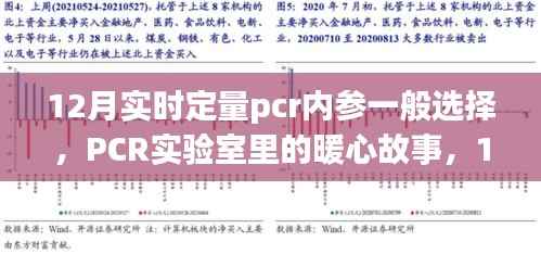 12月PCR实验室内参选择与暖心故事,内参选择的奇妙之旅