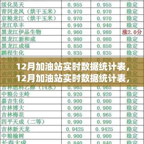 洞悉加油站行业趋势与经营细节,12月实时数据统计表全解析