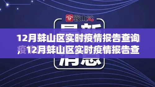 12月蚌山区实时疫情报告查询系统详解与评测