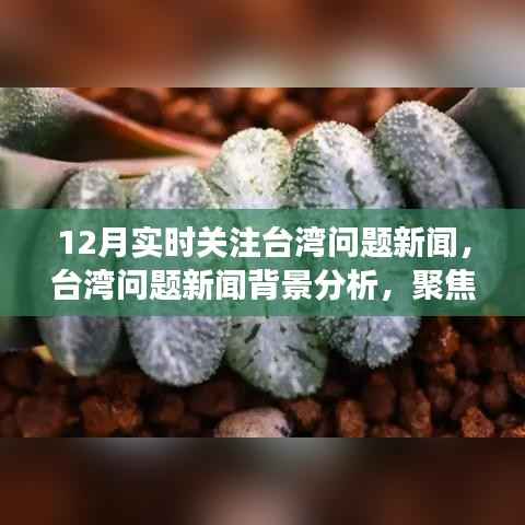 聚焦台湾问题新闻,十二月实时动态与深层影响分析