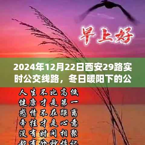 冬日暖阳下的西安29路公交车之旅,实时线路指南与温馨之旅(2024年12月22日)