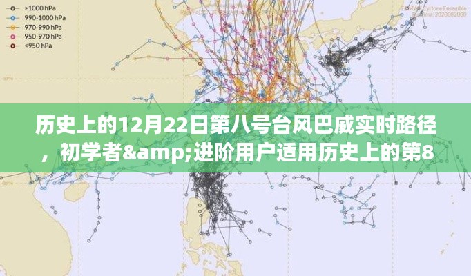 历史上的第8号台风巴威实时路径解析与查询,初学者与进阶用户指南
