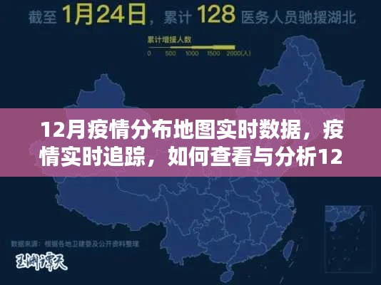 12月疫情分布地图实时数据追踪及分析指南