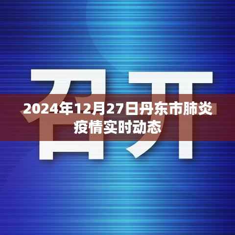 丹东市肺炎疫情最新实时动态（2024年12月27日）