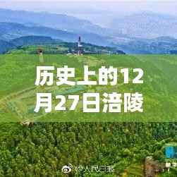历史上的12月27日,涪陵流量实时查询概览