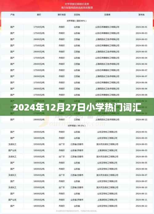 2024年小学流行词汇,趋势与热门词汇解析