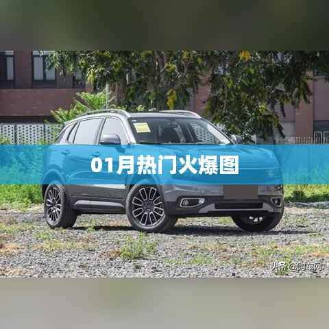 01月热门火爆图片,不容错过!