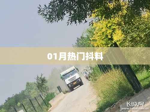 精选抖料,一月热门内容大放送