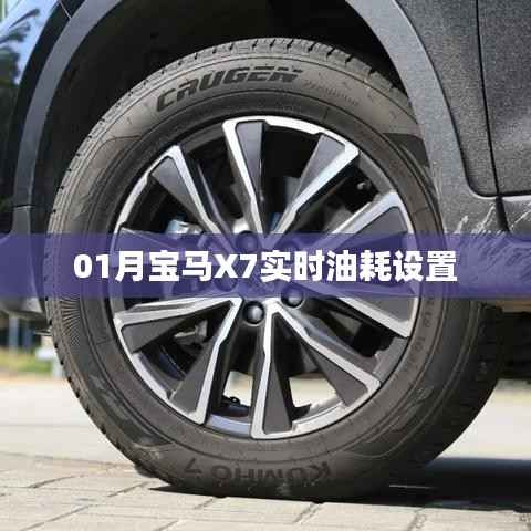 宝马X7实时油耗设置指南