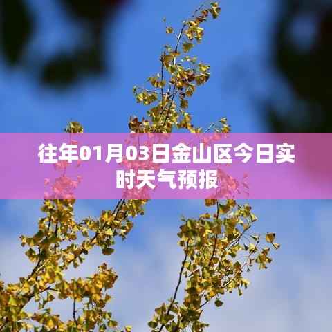 金山区天气预报实时更新今日天气查询