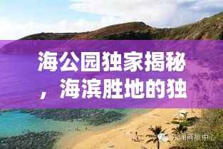 南辕北辙 第3页