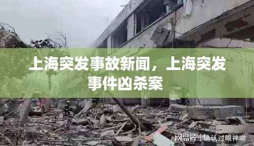 容光焕发 第3页