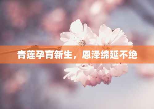 青莲孕育新生,恩泽绵延不绝