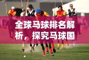 全球马球排名解析，探究马球国家在世界马球运动中的地位与影响力