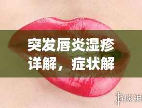 突发唇炎湿疹详解，症状解析与应对攻略，图片大全助你直观了解