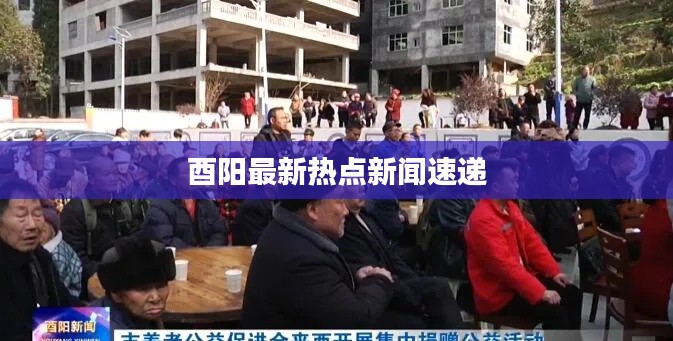 酉阳最新热点新闻速递