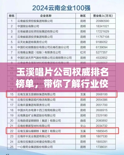 玉溪唱片公司权威排名榜单,带你了解行业佼佼者!
