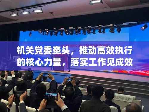 机关党委牵头,推动高效执行的核心力量,落实工作见成效