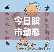 今日股市动态速递,最新炒股消息新闻综述
