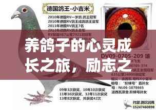 养鸽子的心灵成长之旅,励志之路大放异彩