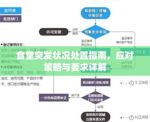 食堂突发状况处置指南，应对策略与要求详解