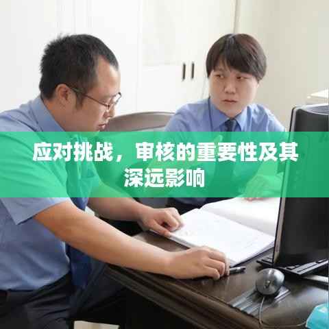 应对挑战,审核的重要性及其深远影响