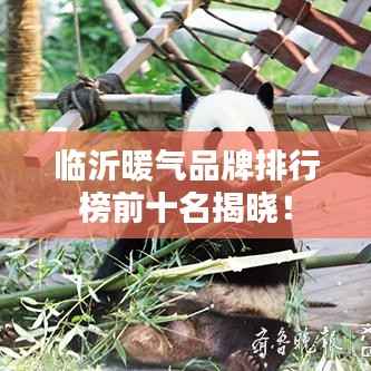 一丝不苟 第3页