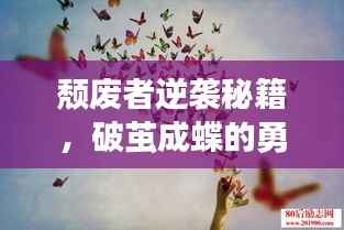 颓废者逆袭秘籍,破茧成蝶的勇气与励志语录