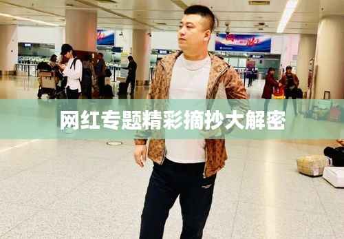 网红专题精彩摘抄大解密