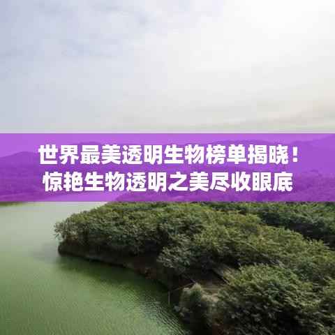 张敞画眉 第3页