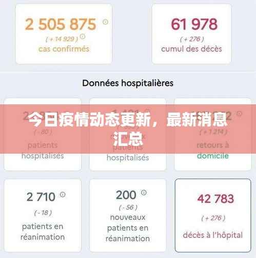 衣不兼彩 第3页