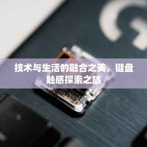 技术与生活的融合之美,键盘触感探索之旅