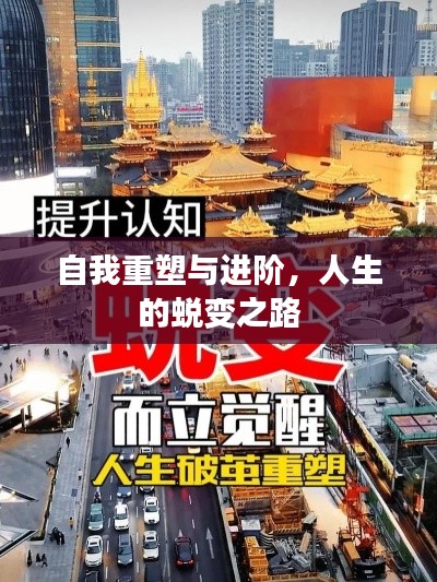 自我重塑与进阶,人生的蜕变之路