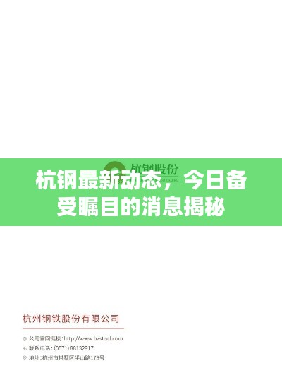 杭钢最新动态,今日备受瞩目的消息揭秘